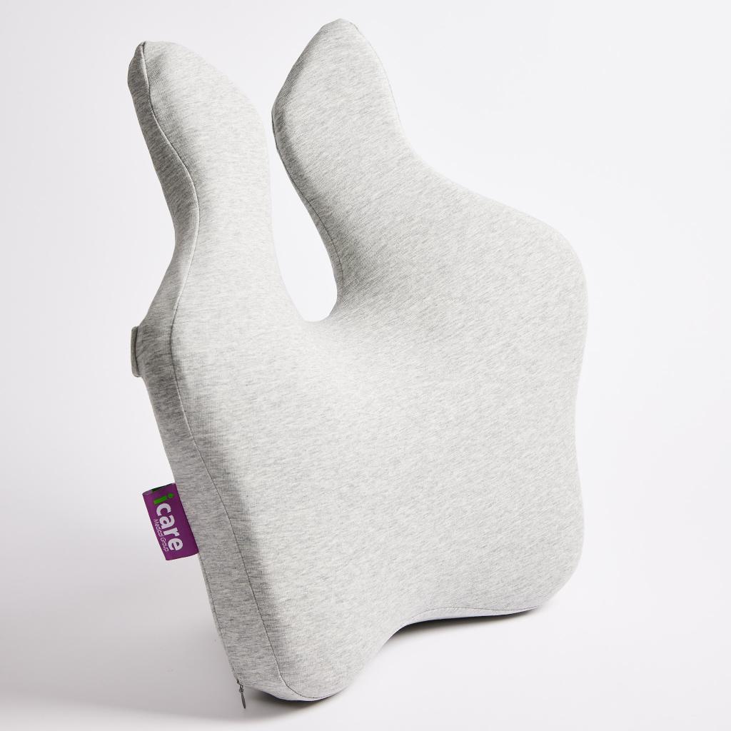 Icare Reform Full Back Support