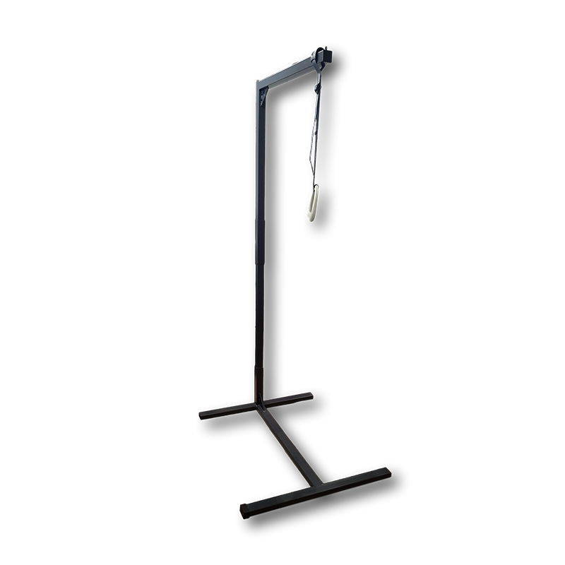 Icare Over Bed Pole/ Pull Up Bar