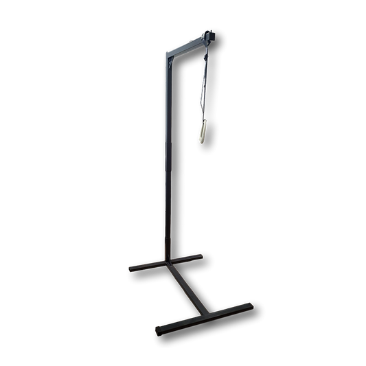 Icare Over Bed Pole/ Pull Up Bar
