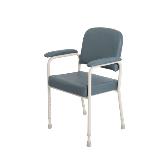 ASPIRE LOW BACK CLASSIC DAY CHAIR - Slate