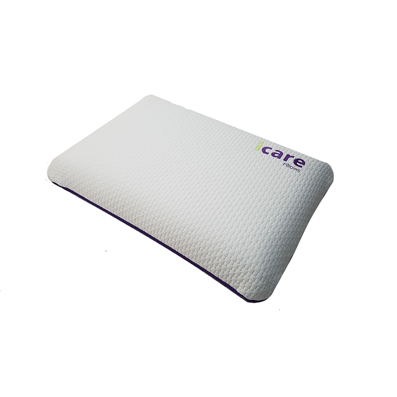 Icare ActiveX Classic Pillow