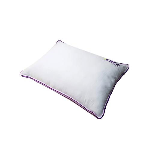 Icare ActiveX Cloud Pillow