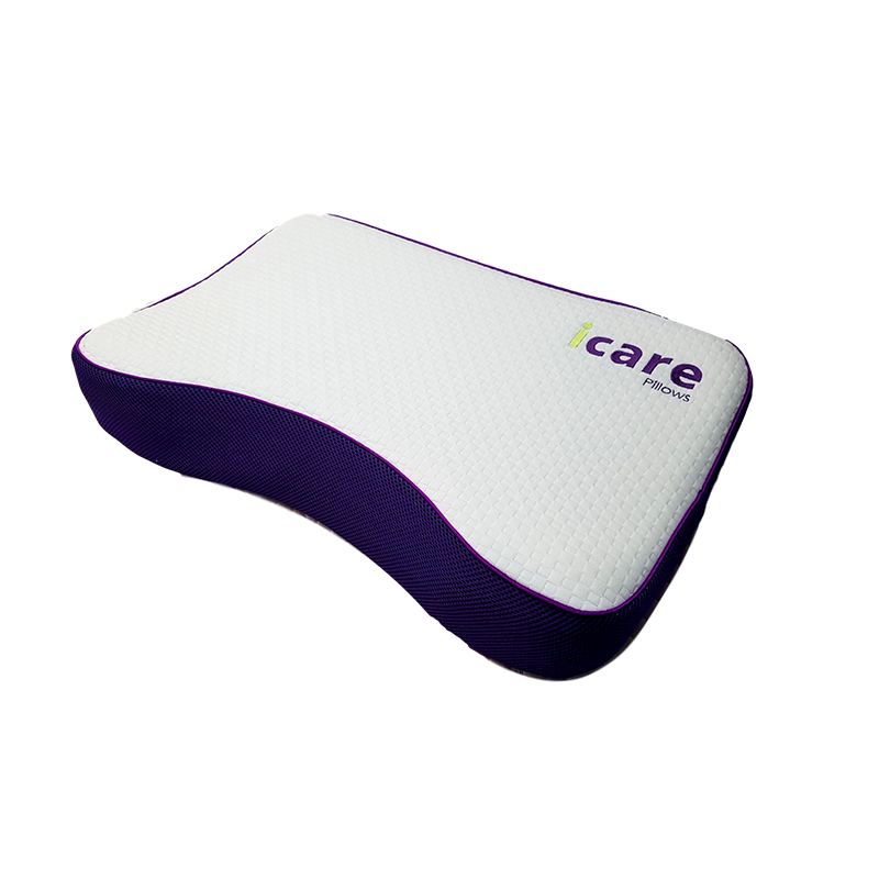 Icare ActiveX Curve Pillow