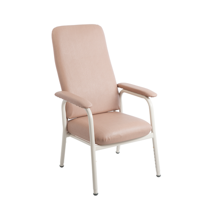 ASPIRE HIGH BACK CLASSIC DAY CHAIR (2 Colours)