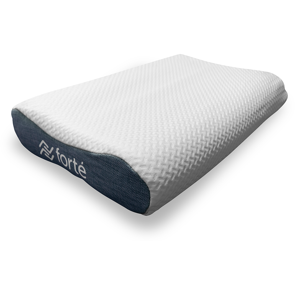 , Forté High Performance Support Pillow W/Luxury Quilted Cover w/ Teal Sides, 